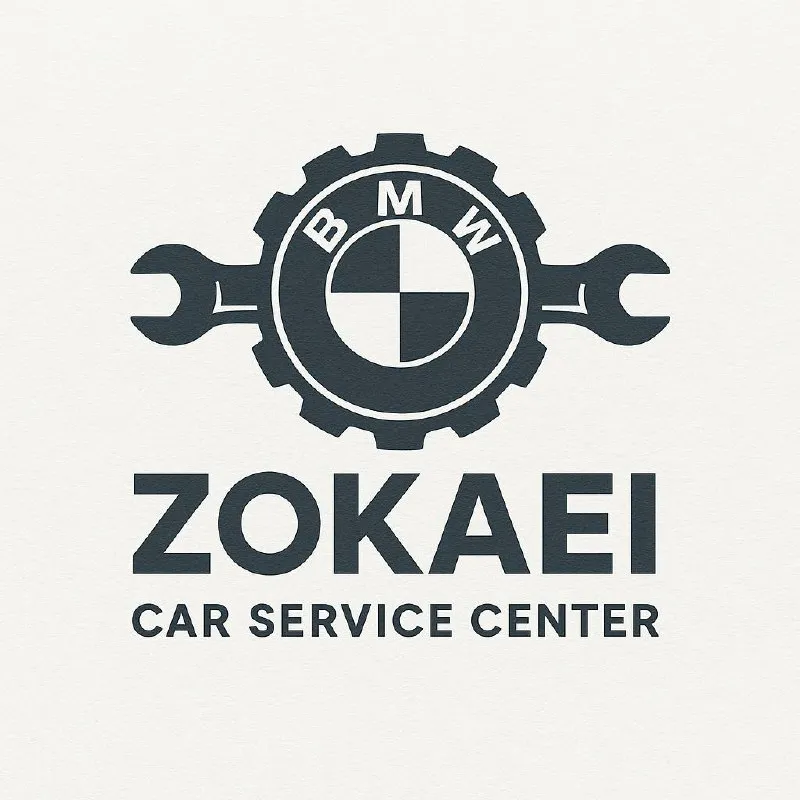 لوگوی سایت ذکایی